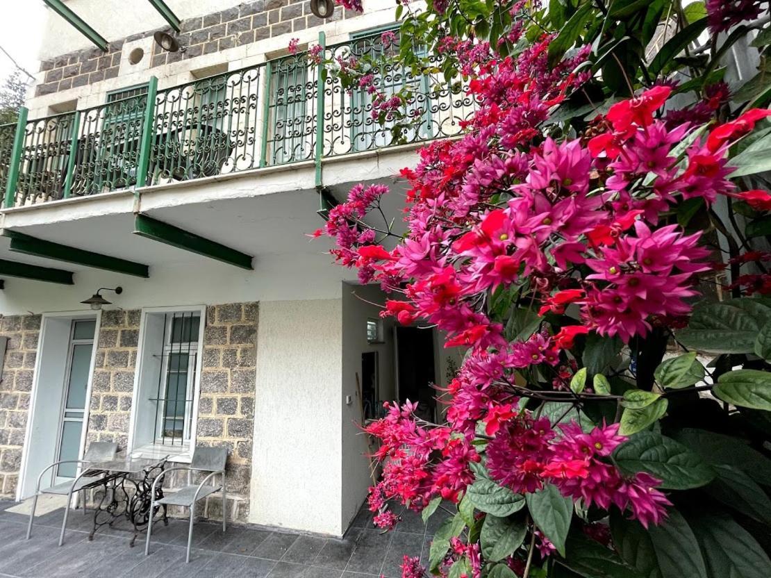 Berenice Winery Hotel Tiberias Luaran gambar