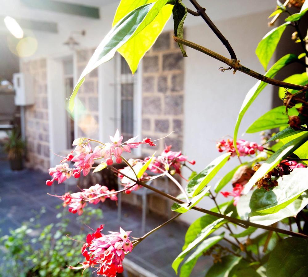 Berenice Winery Hotel Tiberias Luaran gambar