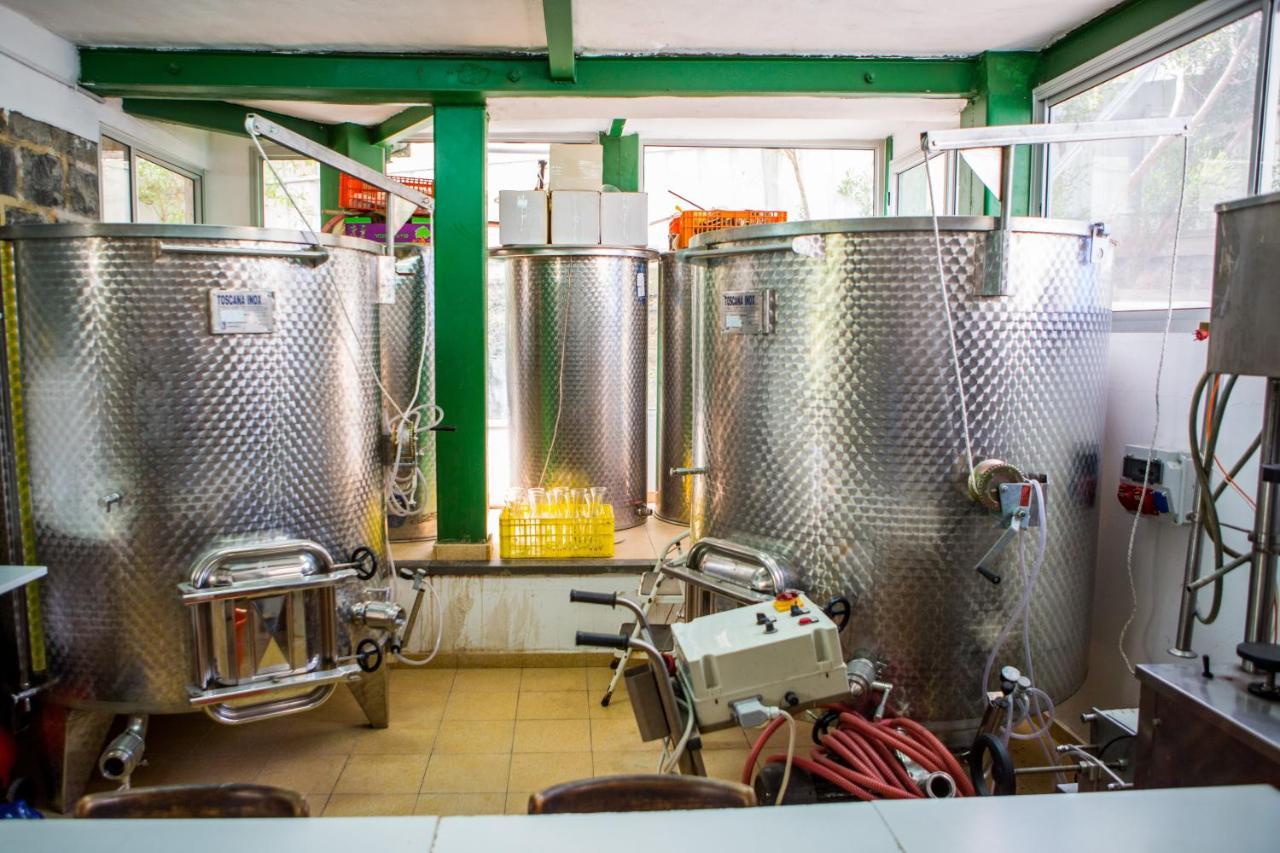 Berenice Winery Hotel Tiberias Luaran gambar